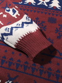 Simon Reindeer Hooded Christmas Sweater