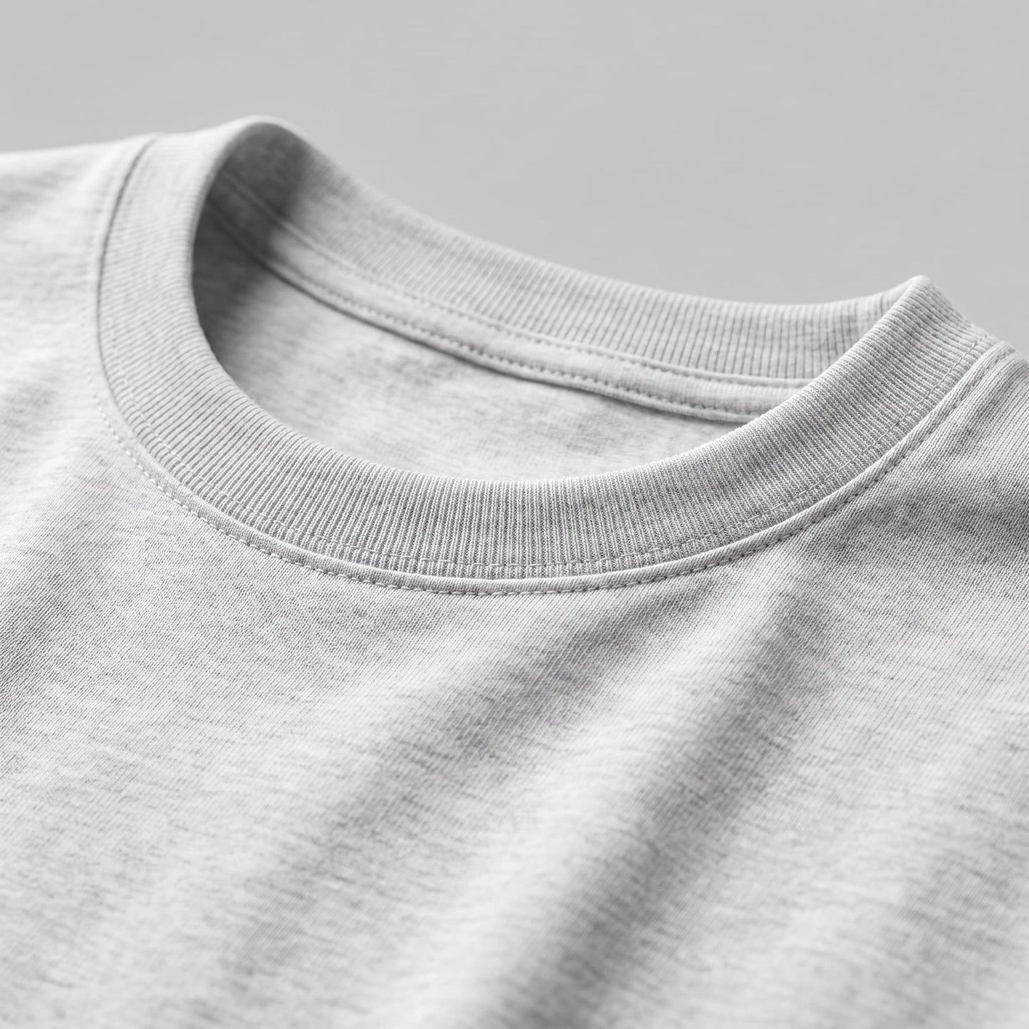 Hudson Regular Fit Crew Neck T-Shirt_11