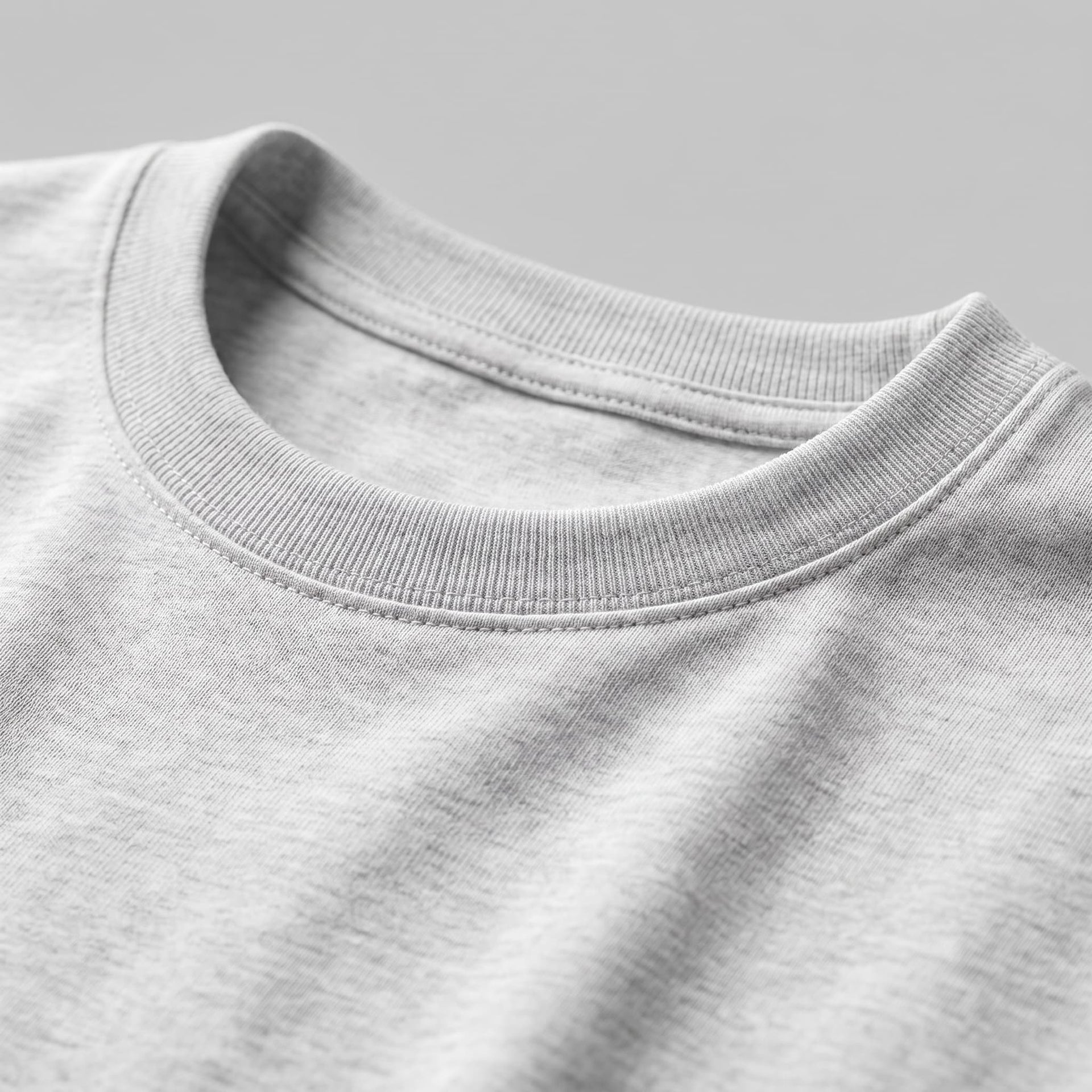 Hudson Regular Fit Crew Neck T-Shirt