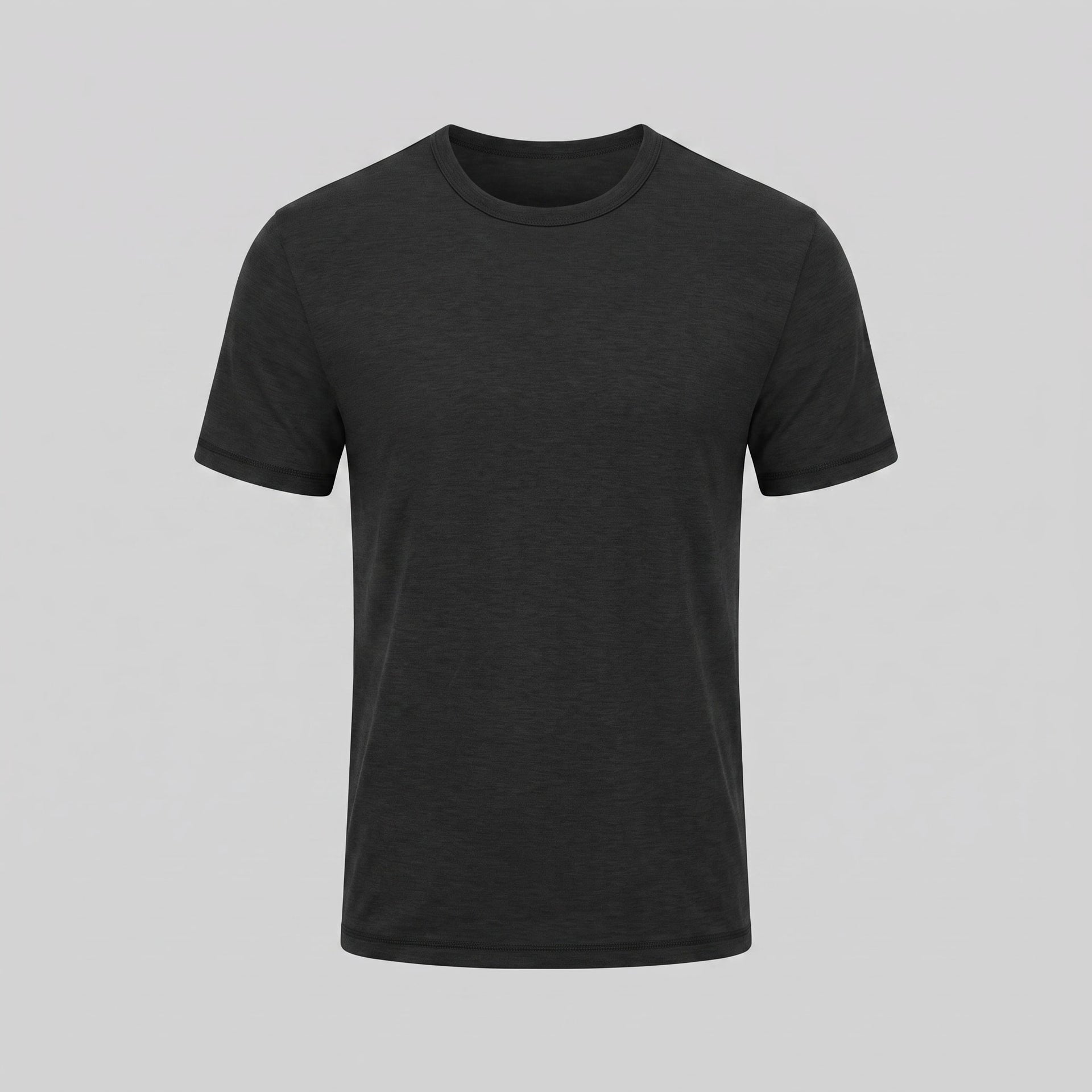 Hudson Regular Fit Crew Neck T-Shirt