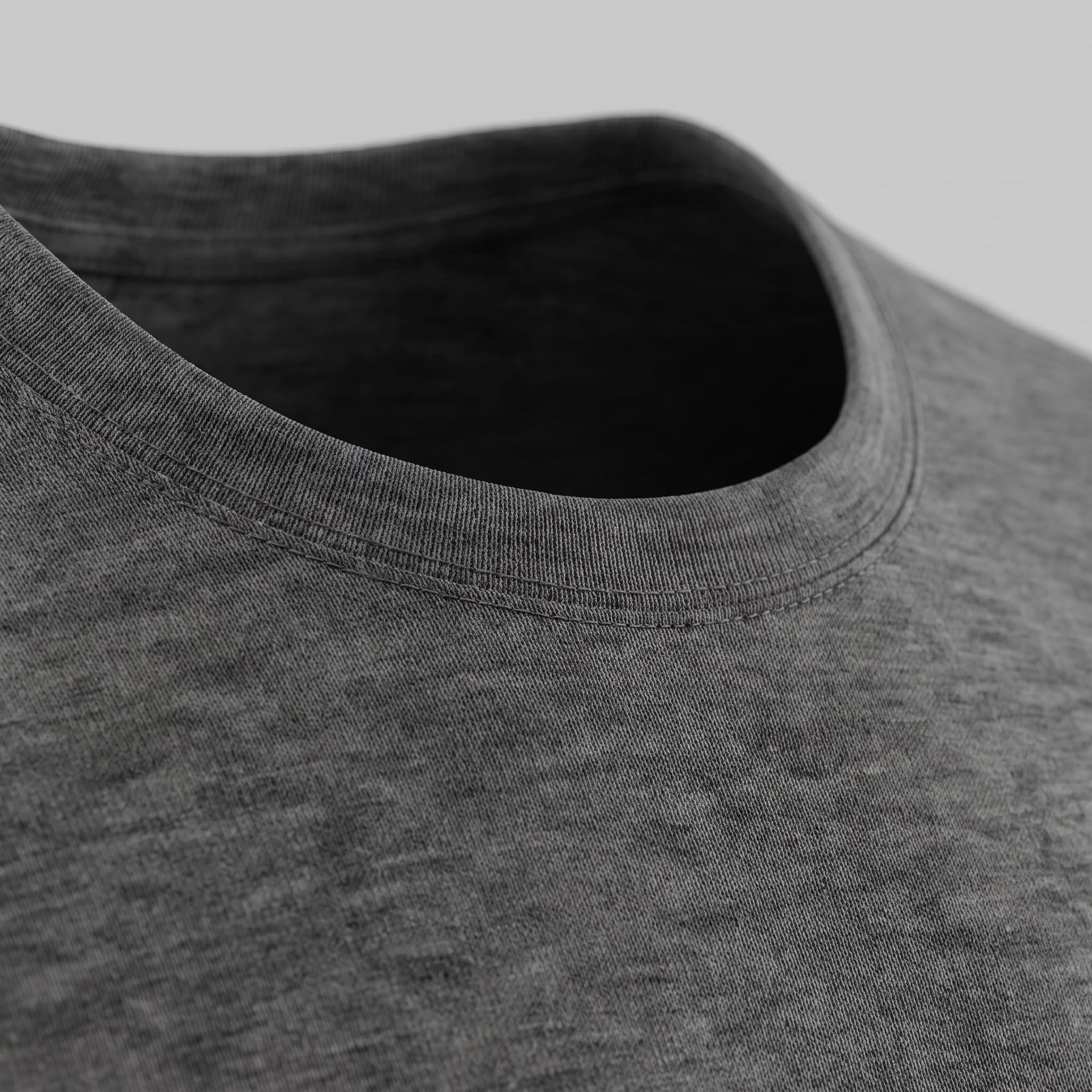 Hudson Regular Fit Crew Neck T-Shirt