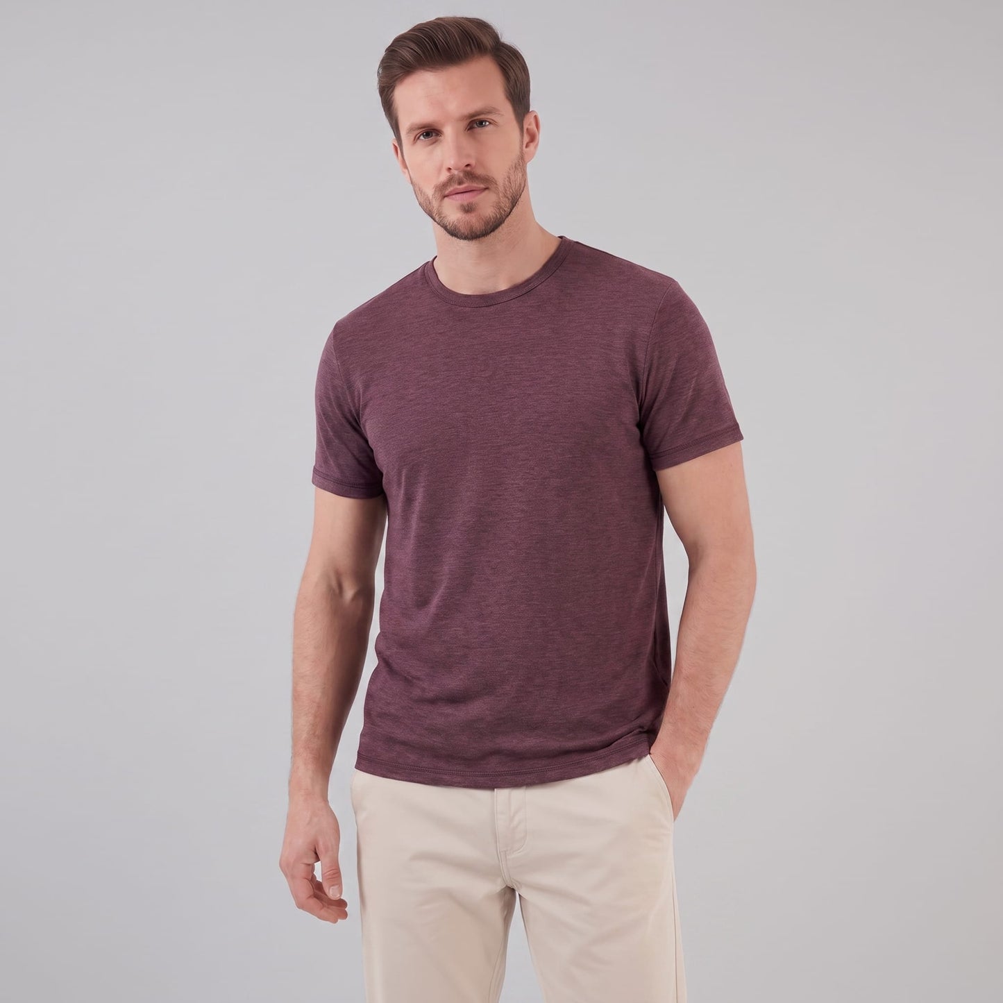 Hudson Regular Fit Crew Neck T-Shirt_60