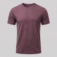 Hudson Regular Fit Crew Neck T-Shirt