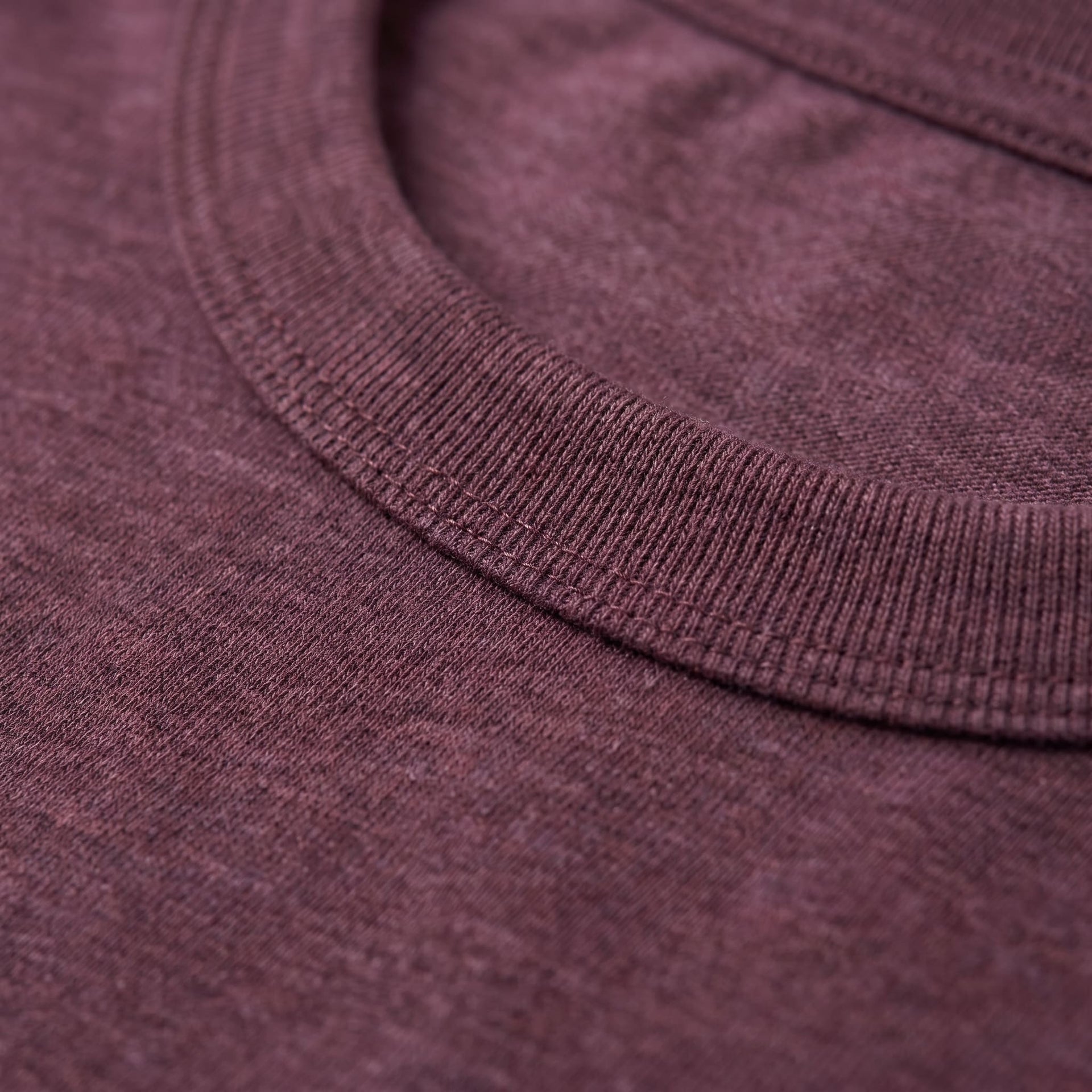 Hudson Regular Fit Crew Neck T-Shirt