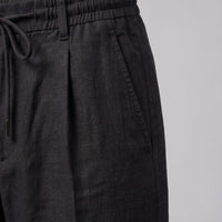 Sinclair Pleated Linen Blend Pants