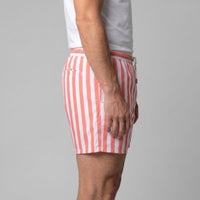 Fitzgerald Quick Dry Striped Swim Shorts
