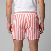 Fitzgerald Quick Dry Striped Swim Shorts