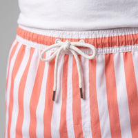 Fitzgerald Quick Dry Striped Swim Shorts