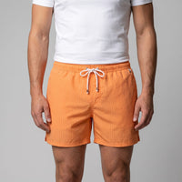 Fitzgerald Quick Dry Striped Swim Shorts