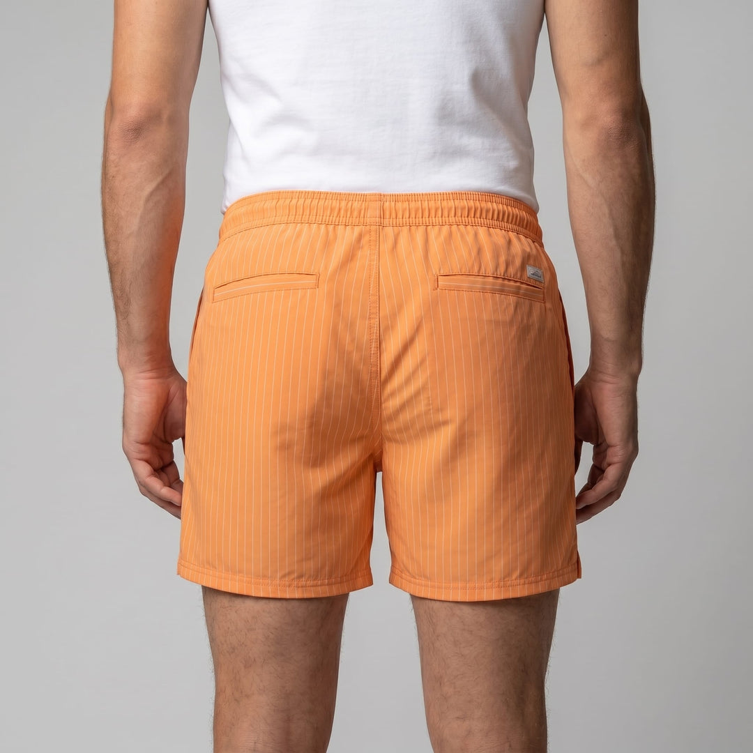 Fitzgerald Quick Dry Striped Swim Shorts