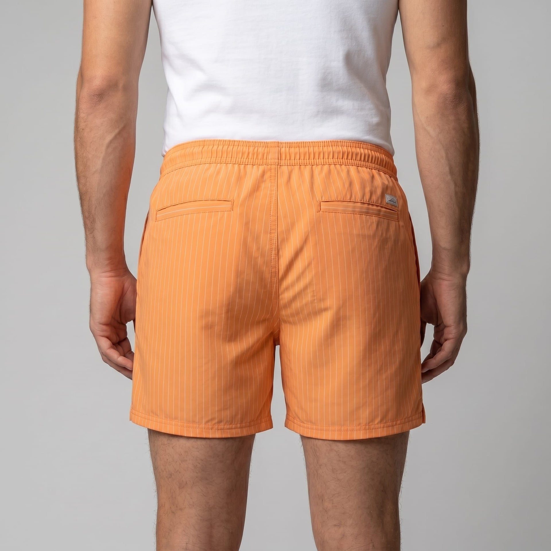 Fitzgerald Quick Dry Striped Swim Shorts