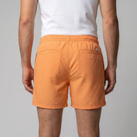 Fitzgerald Quick Dry Striped Swim Shorts