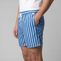 Fitzgerald Quick Dry Striped Swim Shorts