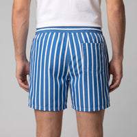 Fitzgerald Quick Dry Striped Swim Shorts