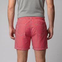Fitzgerald Quick Dry Striped Swim Shorts