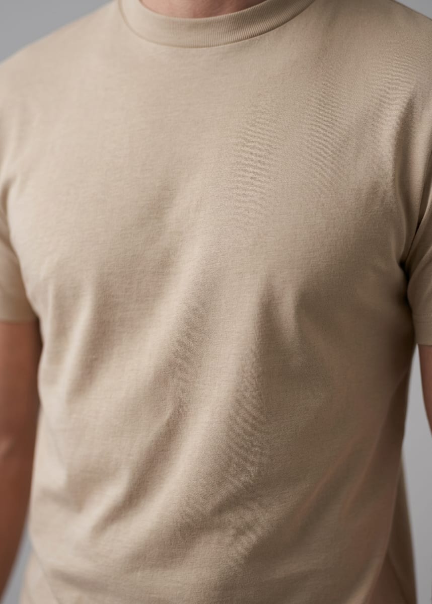 Leo Slim Fit Crew Neck T-Shirt_19